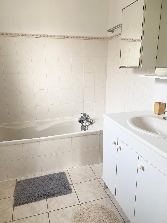 Villa Avec Jardin 600M² Netflix Proche Toulouse コロミエ エクステリア 写真